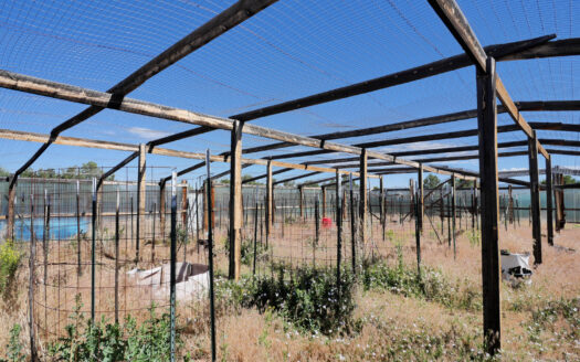 Lot 2 County Road W35