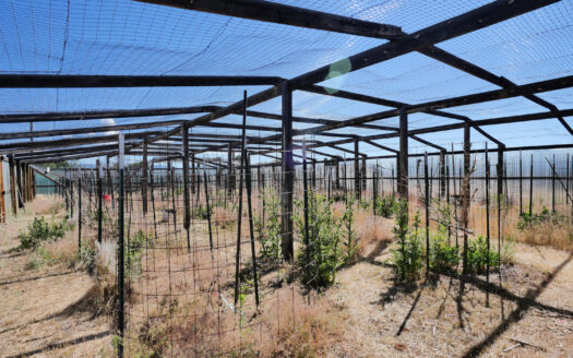 Lot 2 County Road W35