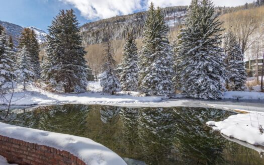 S 301 Pine Street 215