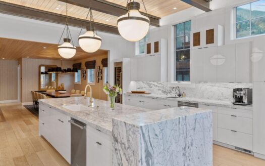 S 123 Spruce Street PH-AR & C-1