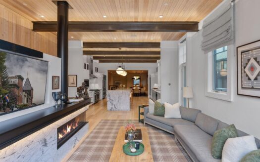 S 123 Spruce Street PH-AR & C-1