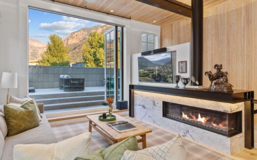 S 123 Spruce Street PH-AR & C-1