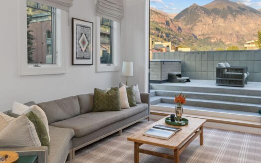 S 123 Spruce Street PH-AR & C-1