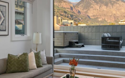 S 123 Spruce Street PH-AR & C-1