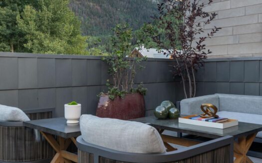 S 123 Spruce Street PH-AR & C-1