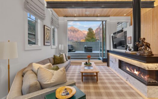 S 123 Spruce Street PH-AR & C-1