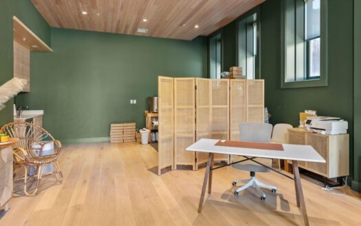 S 123 Spruce Street PH-AR & C-1