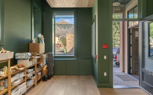 S 123 Spruce Street PH-AR & C-1