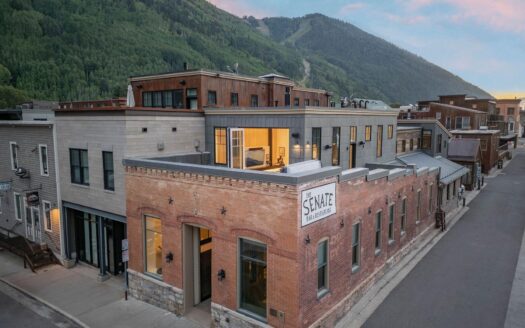 S 123 Spruce Street PH-AR & C-1