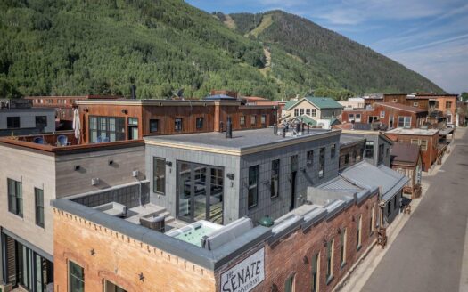 S 123 Spruce Street PH-AR & C-1