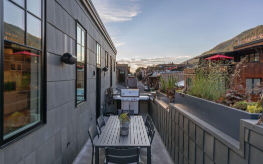 S 123 Spruce Street PH-AR & C-1