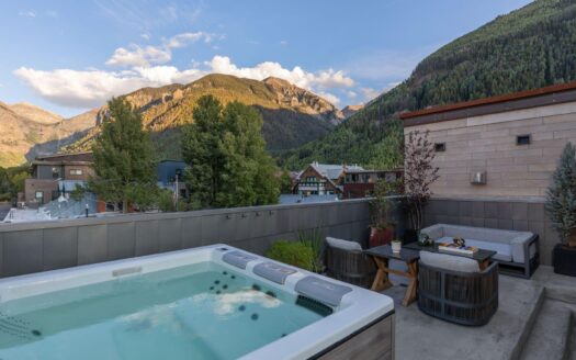 S 123 Spruce Street PH-AR & C-1