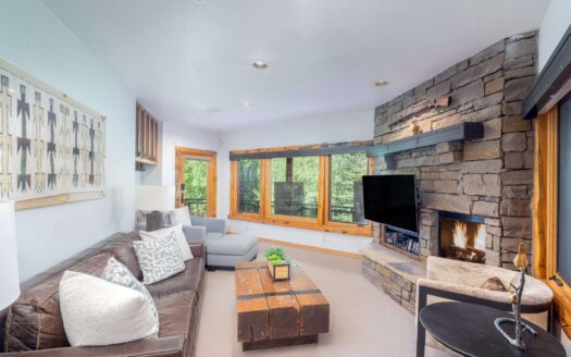 131 Vischer Drive