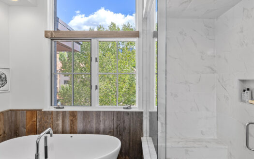 618 Mountain Village Boulevard 401