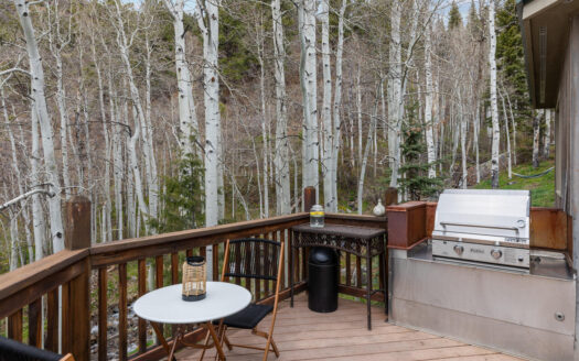 209 Hillside Lane Lane