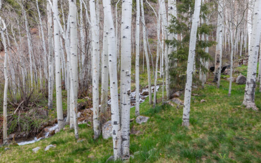 209 Hillside Lane Lane