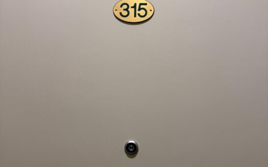 S 333 Davis Street 315 & 317