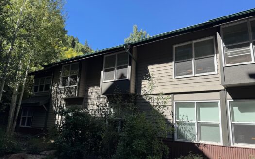 S 333 Davis Street 315 & 317