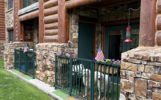 457 Mountain Village BLVD Boulevard 2014/2016