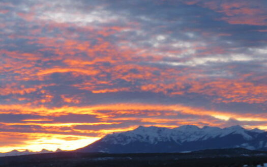 1535 N. Gurley Drive