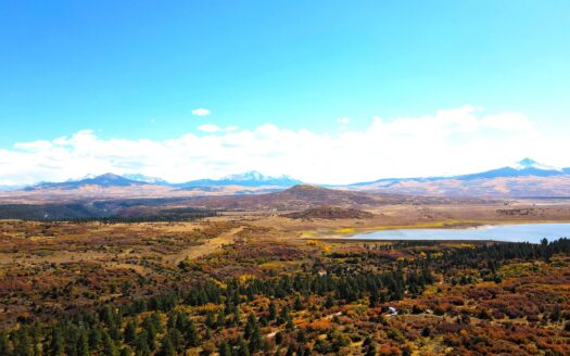 1535 N. Gurley Drive