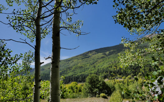 S 239 Commercial Street