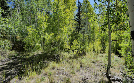 S 239 Commercial Street