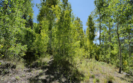 S 239 Commercial Street