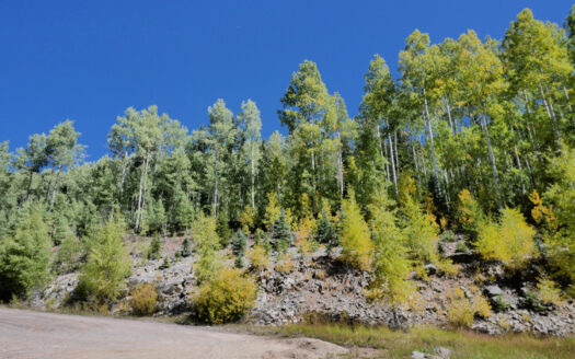 S 239 Commercial Street