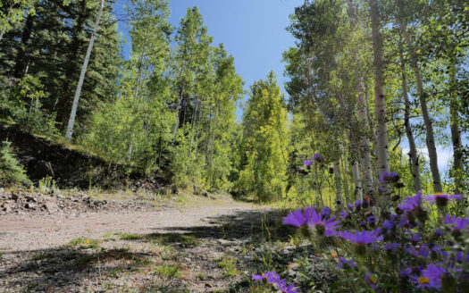 S 239 Commercial Street