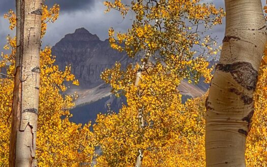 tbd Wapiti Road
