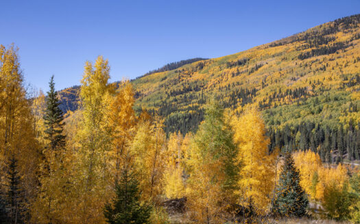 S 239 Commercial Street