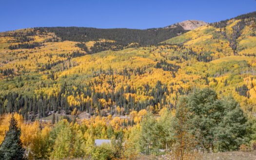 S 239 Commercial Street