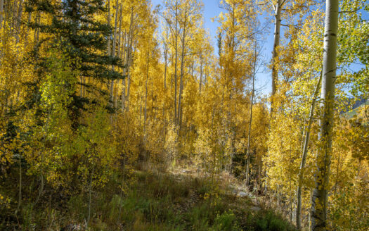 S 239 Commercial Street