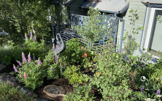 E 721 Pandora Avenue