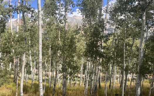 tbd Wapiti Road