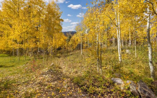 TBD Silverglance Way