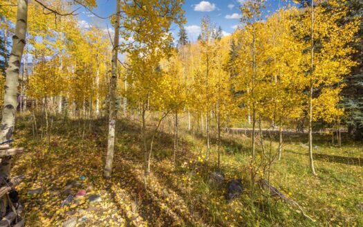 TBD Silverglance Way