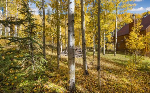 TBD Silverglance Way