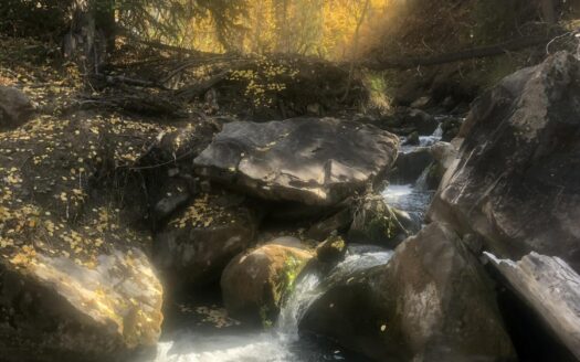 TBD Alder Canyon Road