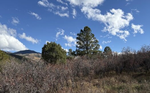TBD Alder Canyon Road
