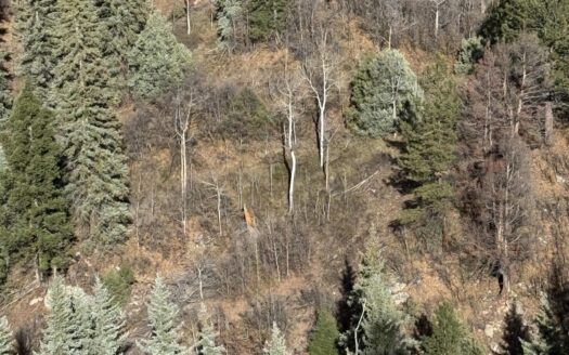 TBD Alder Canyon Road
