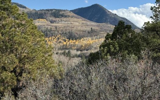 TBD Alder Canyon Road