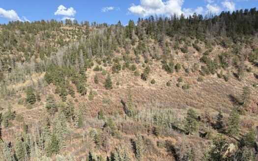 TBD Alder Canyon Road