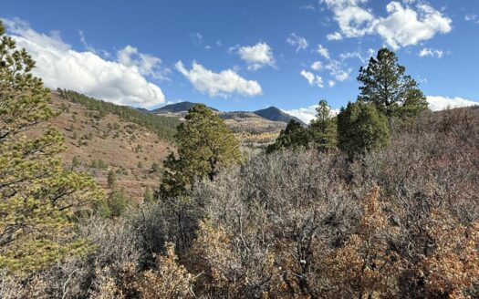 TBD Alder Canyon Road