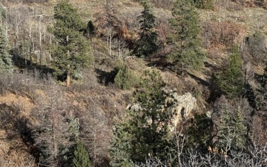 TBD Alder Canyon Road