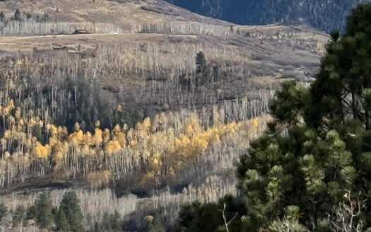 TBD Alder Canyon Road