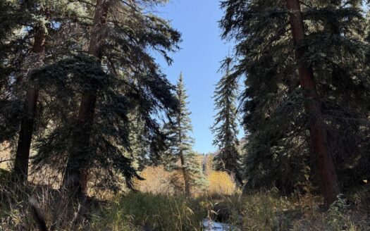 TBD Alder Canyon Road