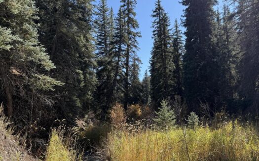 TBD Alder Canyon Road