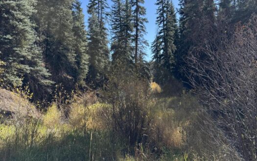 TBD Alder Canyon Road